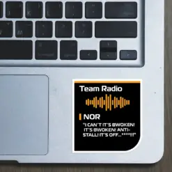 Alternative view of Team Radio  - Lando