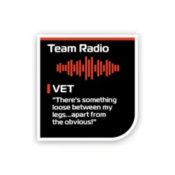 Team Radio - Vettel Something Between My Legs