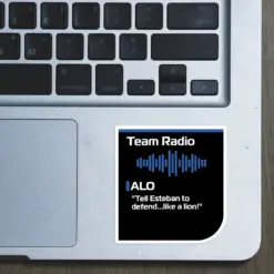 Alternative view of Team Radio  - Alonso
