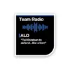 Team Radio  - Alonso